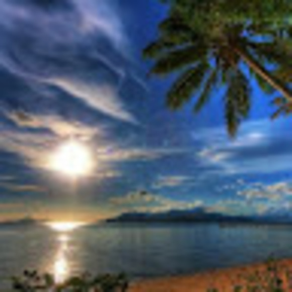 Meet your Posher, Cathie - Picture 1 of 1